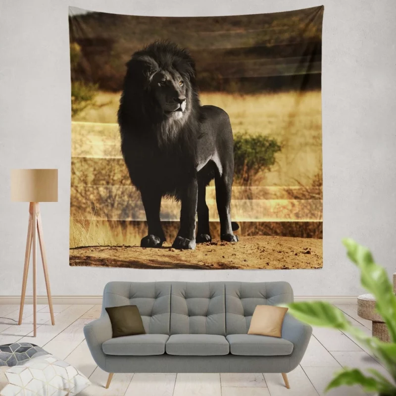 Black Lion Mystery Untamed Beauty Wall Hanging Tapestry