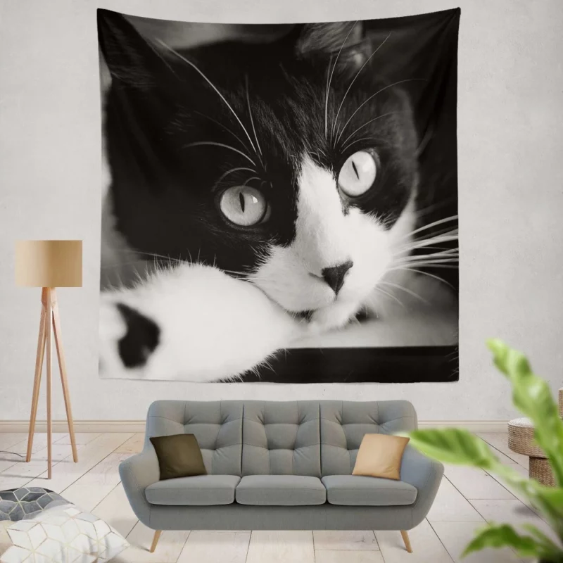 Black & White Cat Enigmatic Beauty Wall Hanging Tapestry