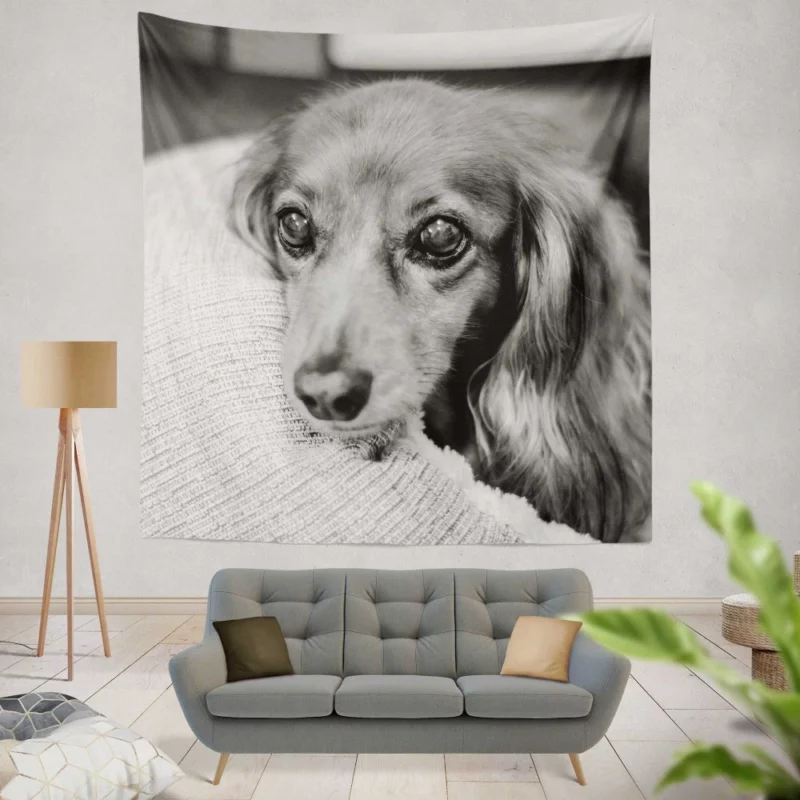 Black & White Dog Mysterious Charm Wall Hanging Tapestry