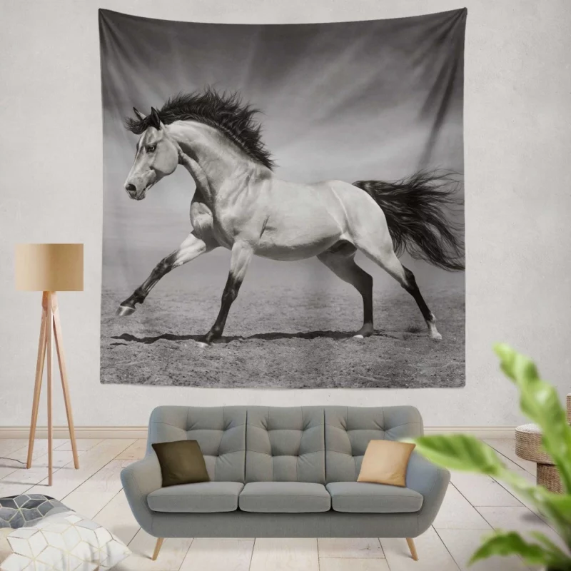 Black & White Horse Majesty Equine Grace Wall Hanging Tapestry