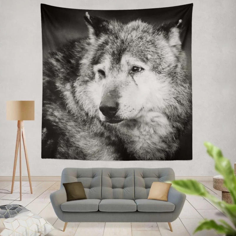 Black & White Wolf Mystic Gaze Wall Hanging Tapestry