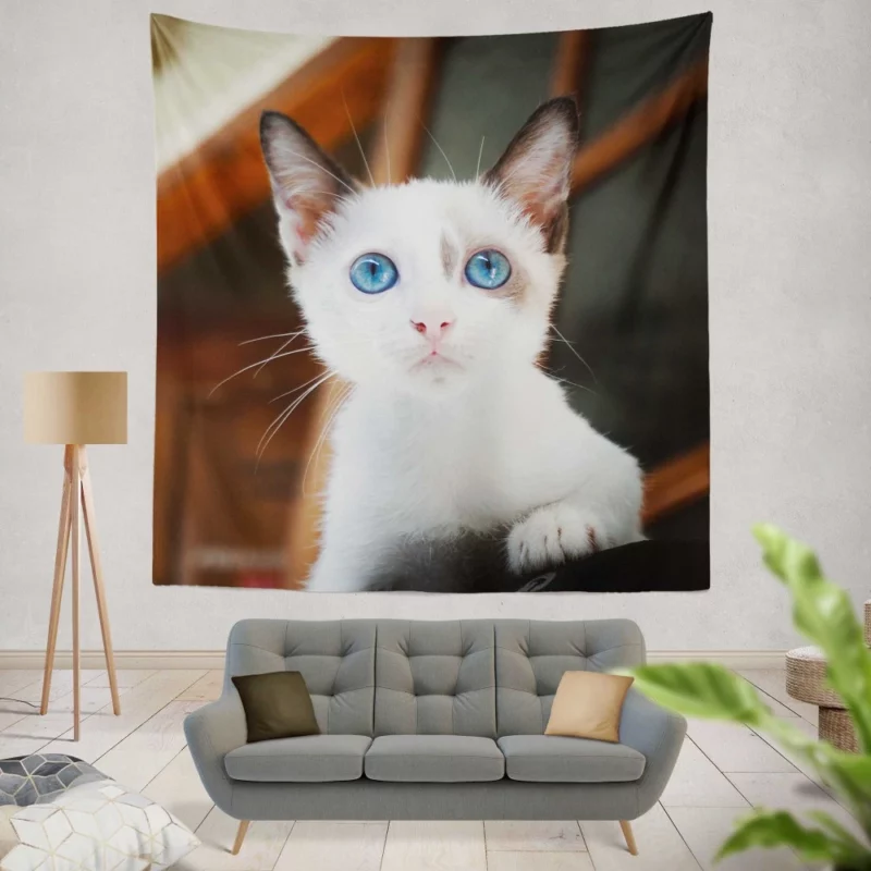 Blue-Eyed Kitten Innocent Wonder Wall Hanging Tapestry