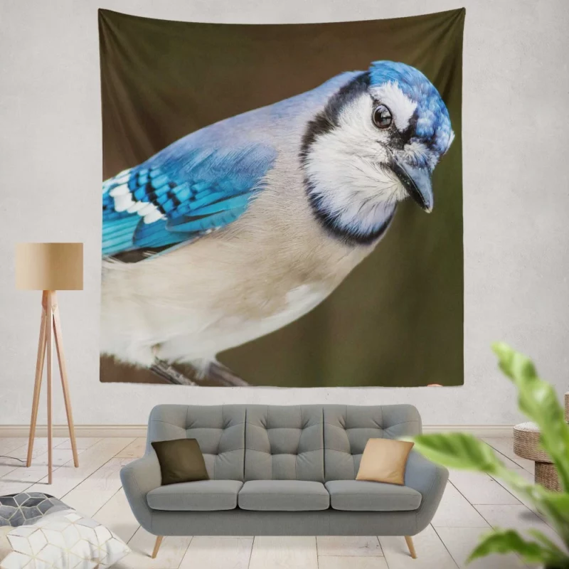 Blue Jay Close-Up Feathered Detail Wall Hanging Tapestry