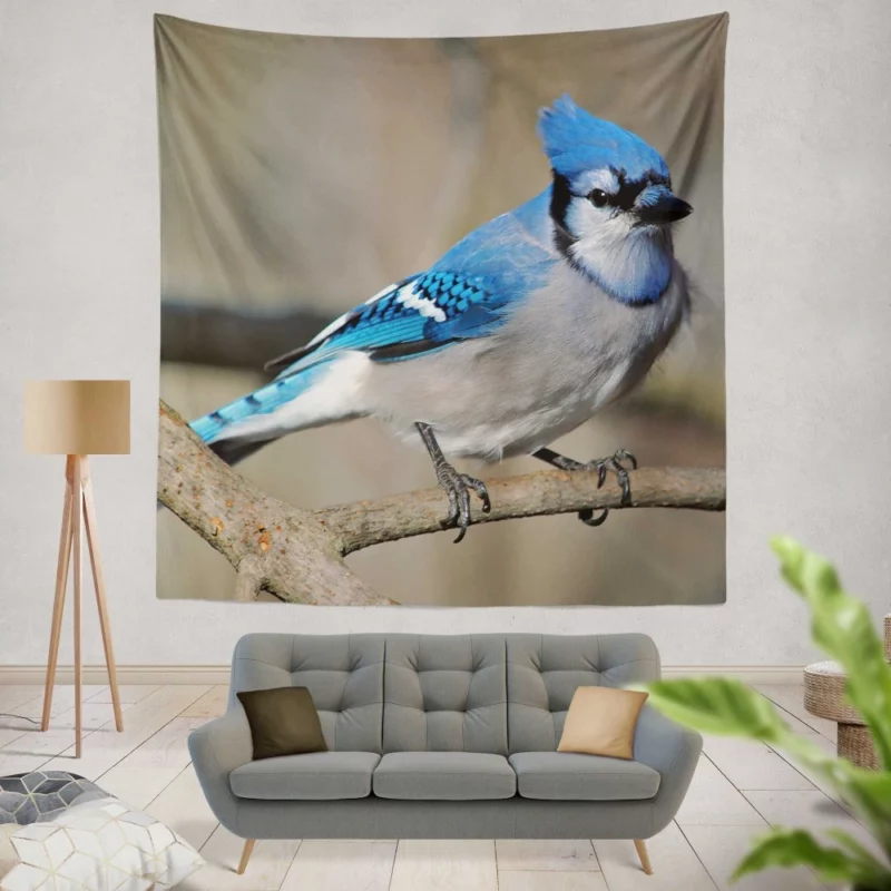 Blue Jay Radiant Charm Vibrant Bird Wall Hanging Tapestry