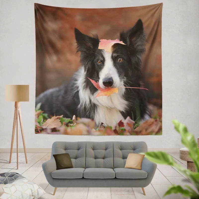 Border Collie Amidst Autumn Leaves Wall Hanging Tapestry