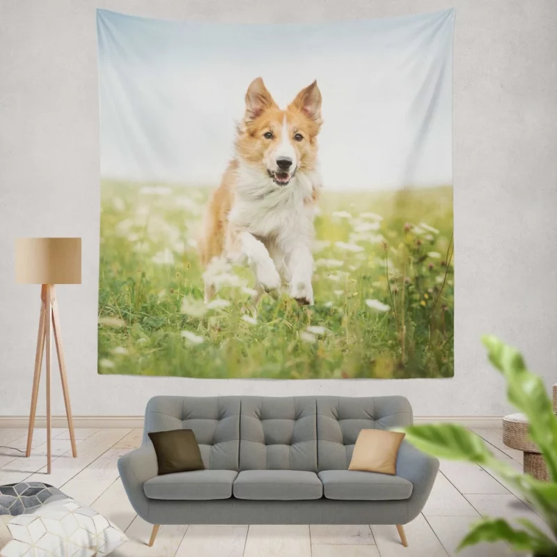 Border Collie Amidst Field Energetic Charm Wall Hanging Tapestry