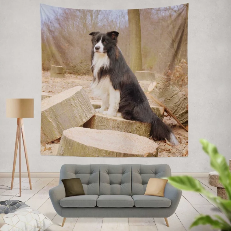 Border Collie Amidst Firewood Wall Hanging Tapestry