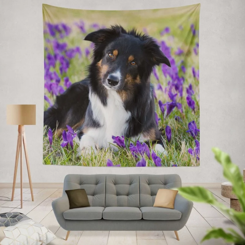 Border Collie Amidst Purple Crocus Wall Hanging Tapestry