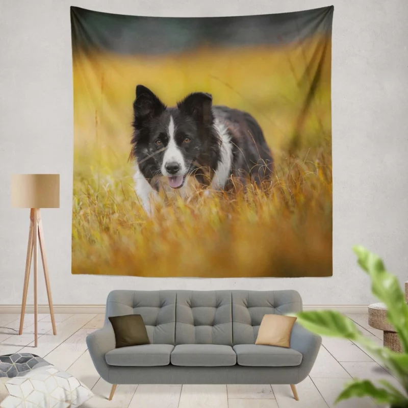 Border Collie Autumn Meadow Run Wall Hanging Tapestry