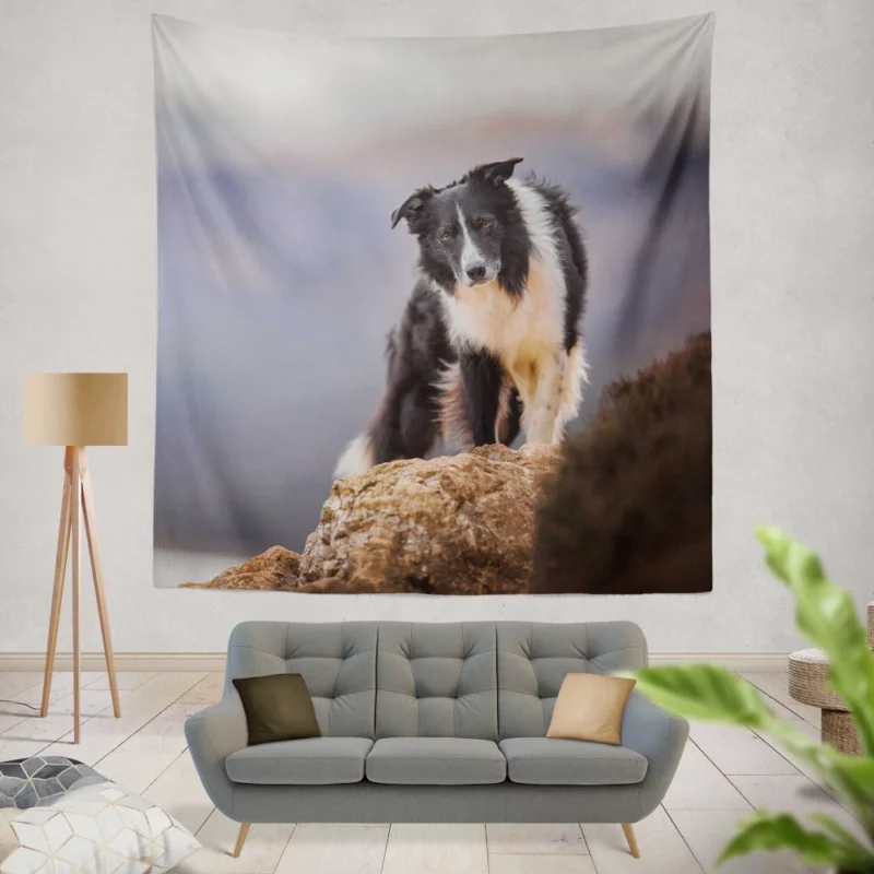 Border Collie Captivating Stare Wall Hanging Tapestry