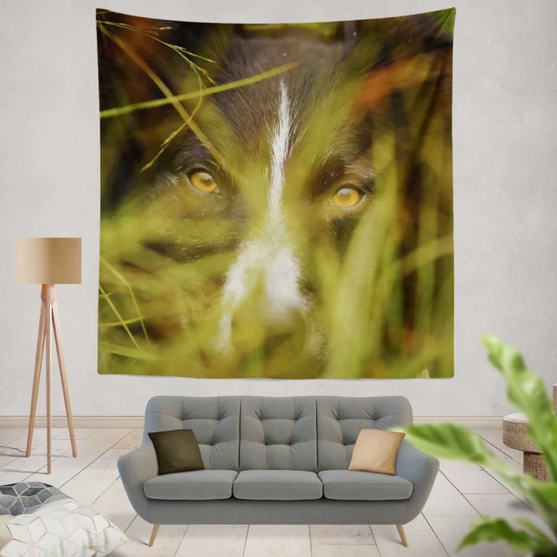 Border Collie Close-Up Eyes of Curiosity Wall Hanging Tapestry