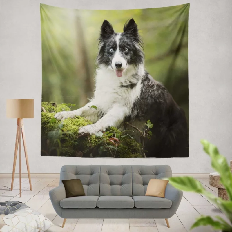 Border Collie Depth of Field Charm Wall Hanging Tapestry