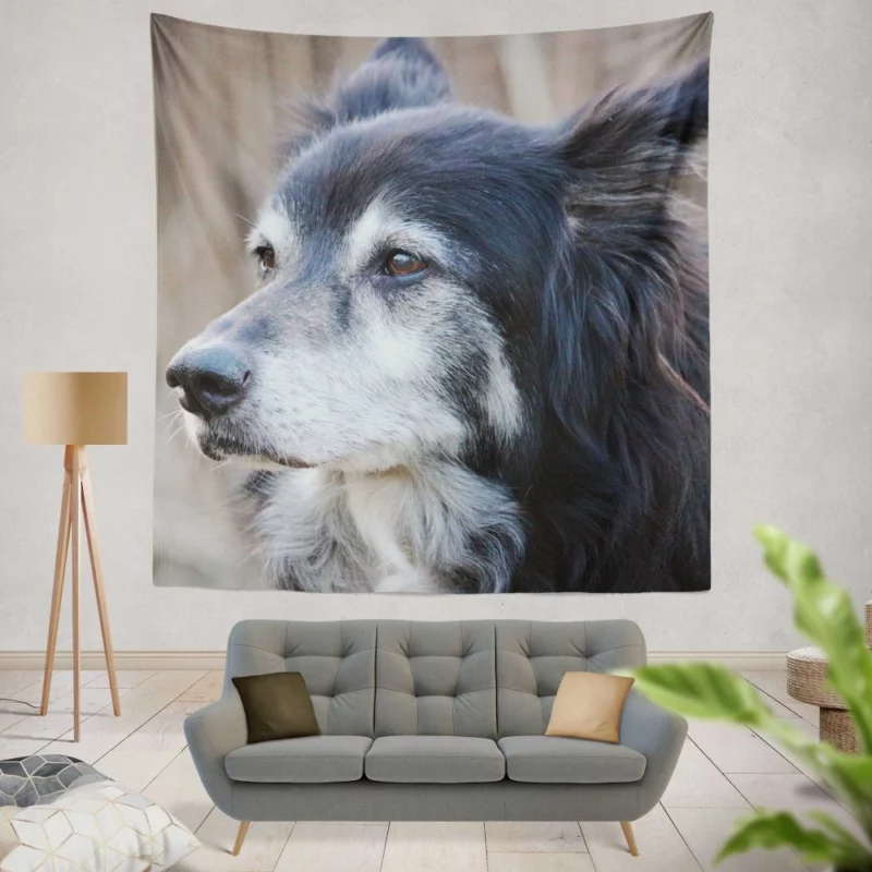 Border Collie Energetic Charm Active Companion Wall Hanging Tapestry