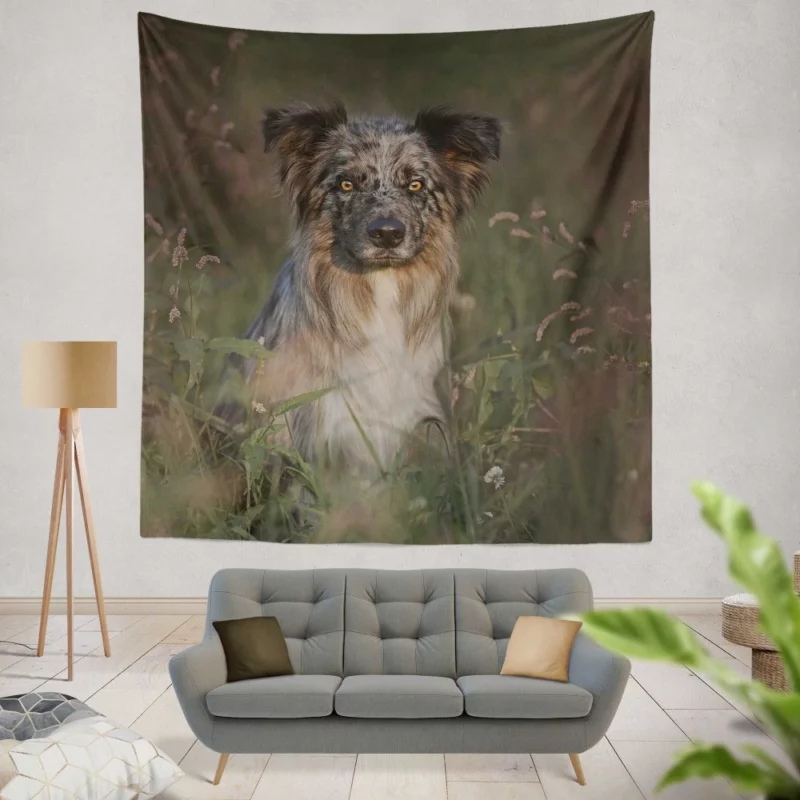 Border Collie Energetic Playfulness Wall Hanging Tapestry