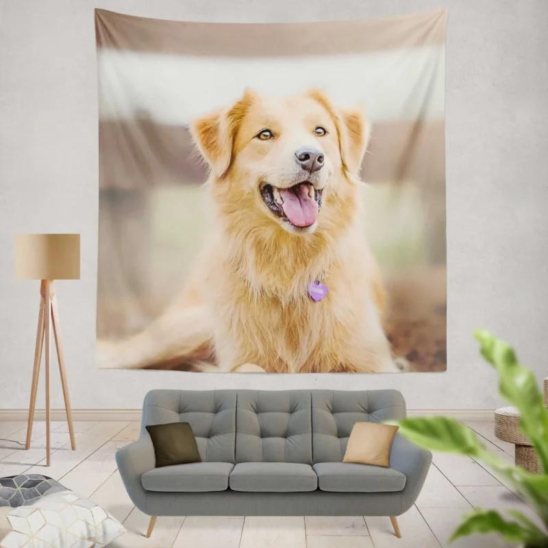 Border Collie Energetic Presence Furry Dynamo Wall Hanging Tapestry