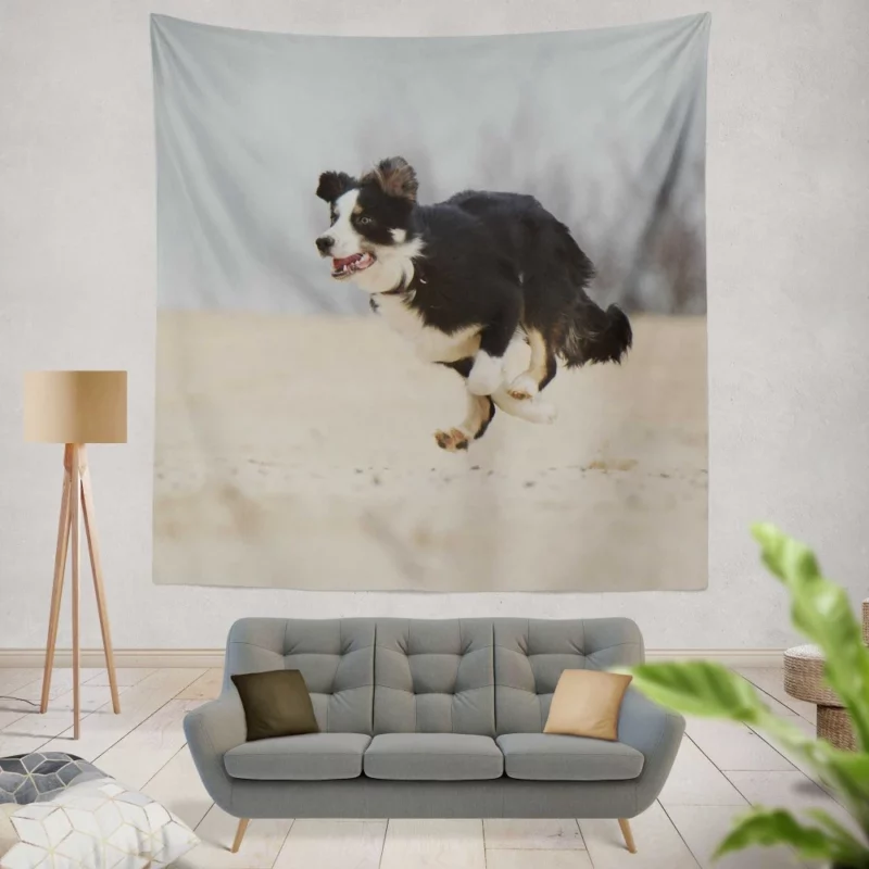 Border Collie Energetic Run Wall Hanging Tapestry