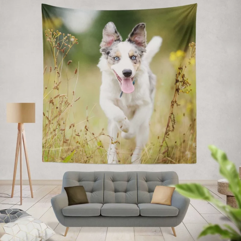 Border Collie Energetic Spirit Furry Dynamo Wall Hanging Tapestry