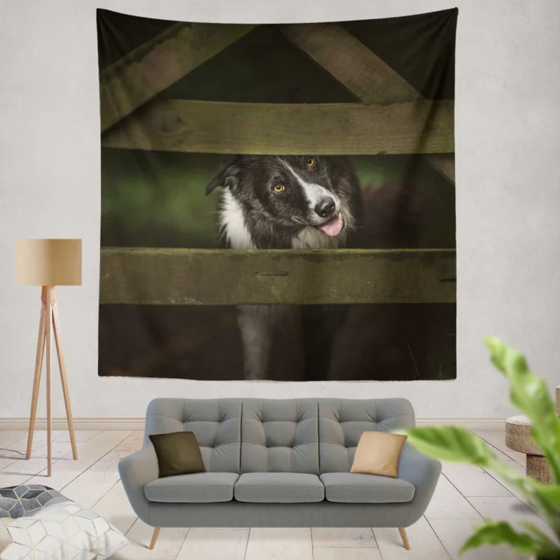 Border Collie Focused Stance Training Time Wall Hanging Tapestry