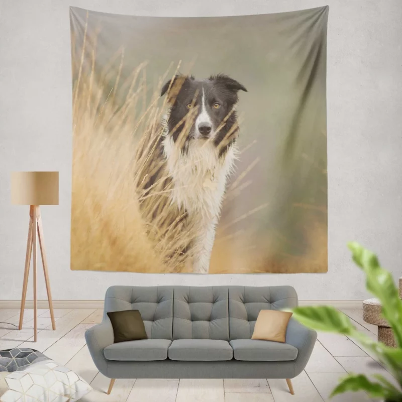 Border Collie Joyful Lakeside Romp Wall Hanging Tapestry