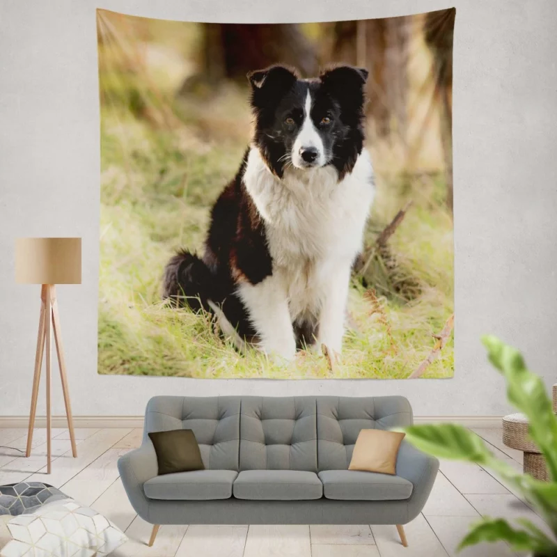 Border Collie Meadow Majesty Energetic Elegance Wall Hanging Tapestry