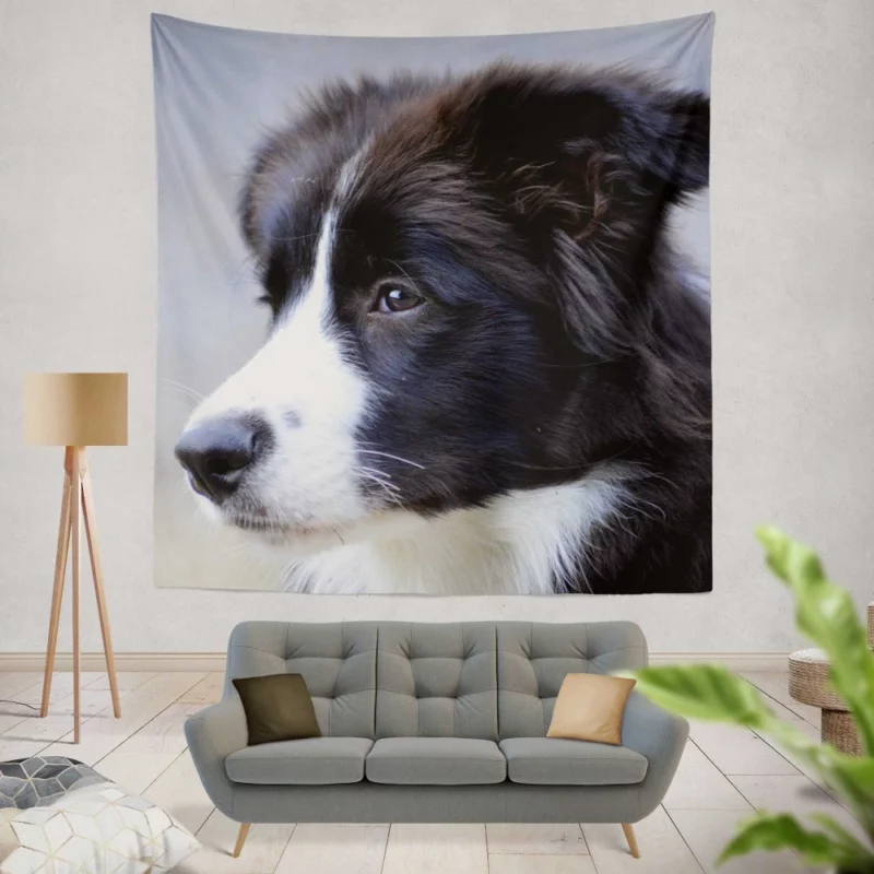 Border Collie Puppy Energetic Charm Wall Hanging Tapestry