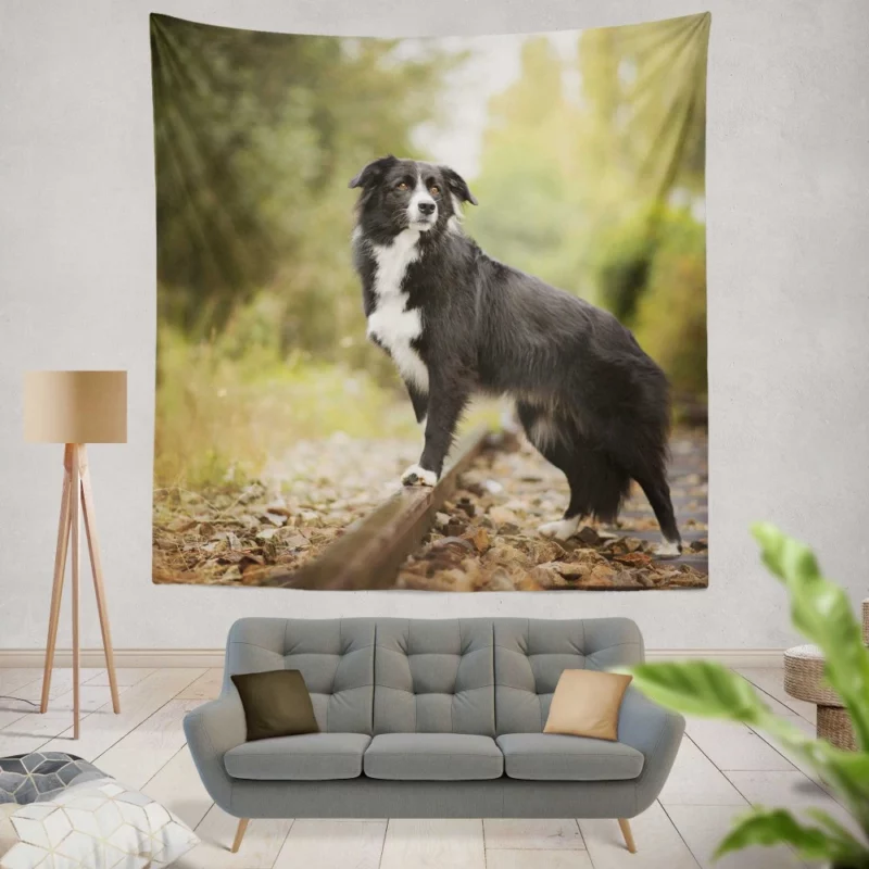 Border Collie Railroad Adventure Wall Hanging Tapestry