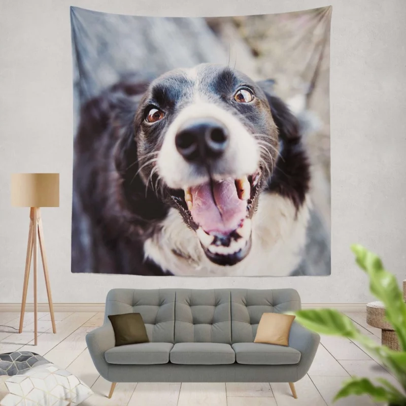 Border Collie Snowy Stare Wall Hanging Tapestry