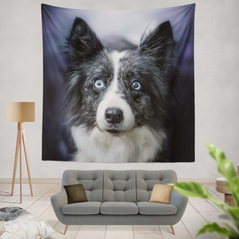 Border Collie Thoughtful Gaze Wall Hanging Tapestry