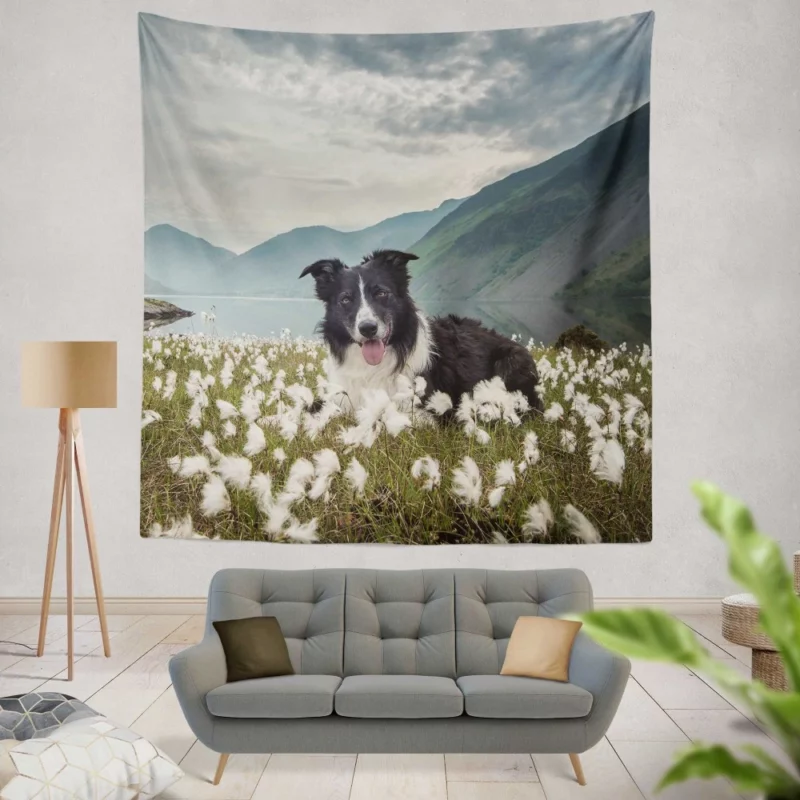 Border Collie Whimsical Waterside Moment Wall Hanging Tapestry