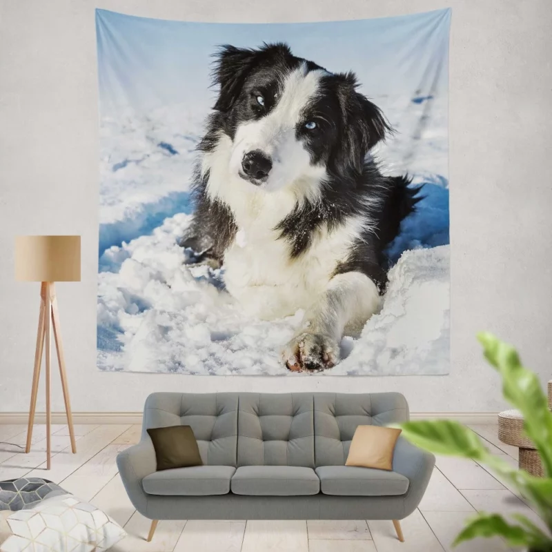 Border Collie Winter Adventure Snowy Delight Wall Hanging Tapestry