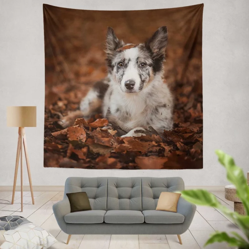 Border Collie in Autumn Leafy Wonder Wall Hanging Tapestry