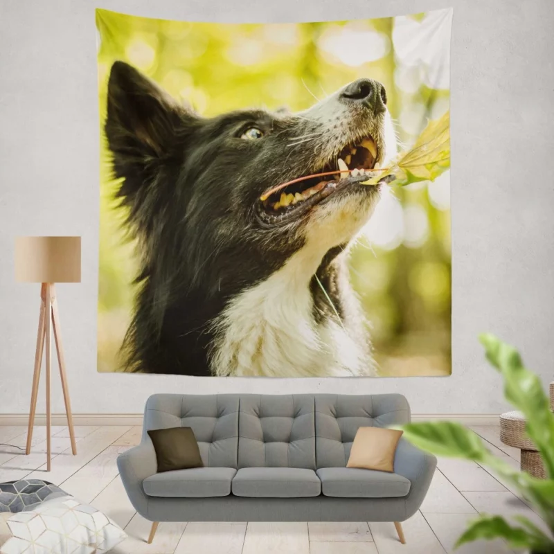 Border Collie in Autumn Nature Joy Wall Hanging Tapestry