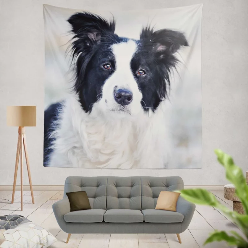 Border Collie in Bokeh Playful Elegance Wall Hanging Tapestry