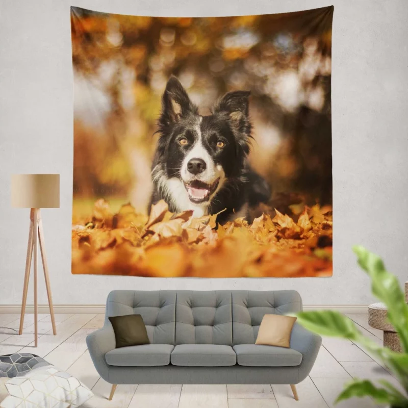 Border Collie in Fall Delight Wall Hanging Tapestry