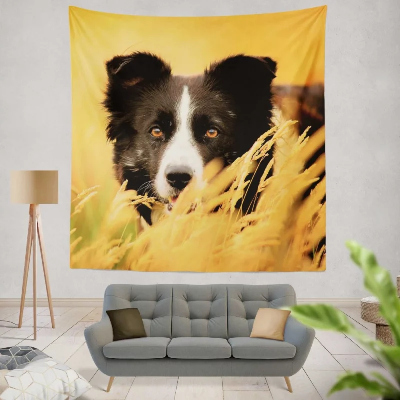 Border Collie in Golden Wheat Field Wall Hanging Tapestry