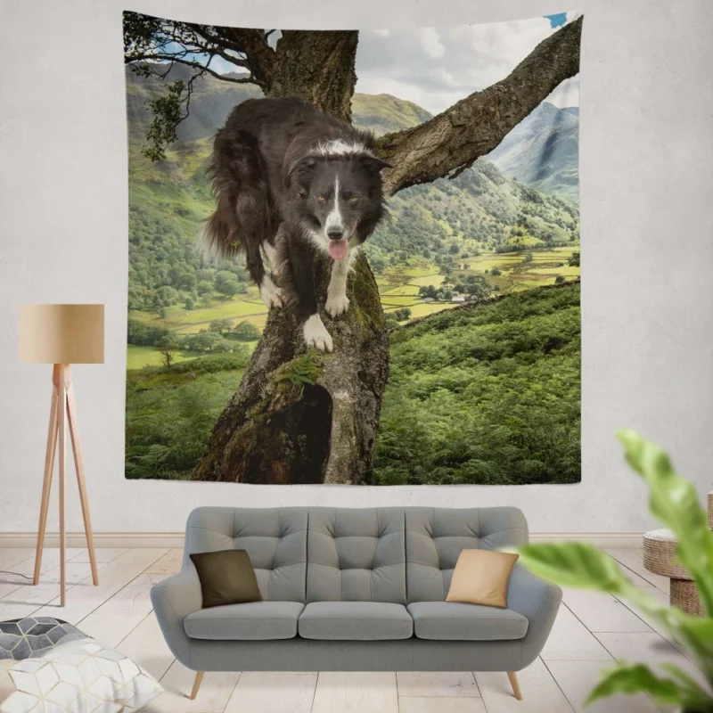 Border Collie in Nature Valley Wall Hanging Tapestry