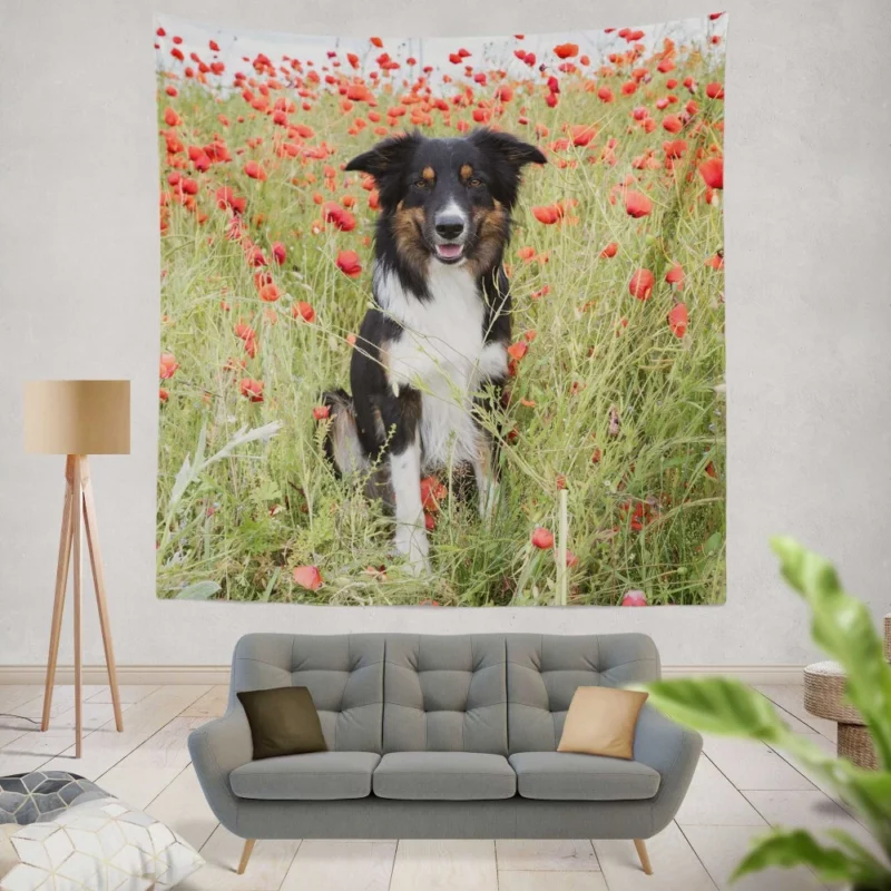 Border Collie in Poppy Field Furry Charm Wall Hanging Tapestry