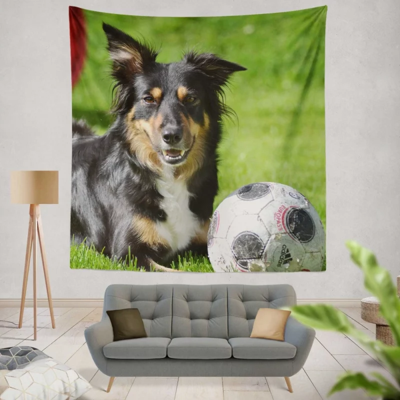 Border Collie with Ball Energetic Play Wall Hanging Tapestry