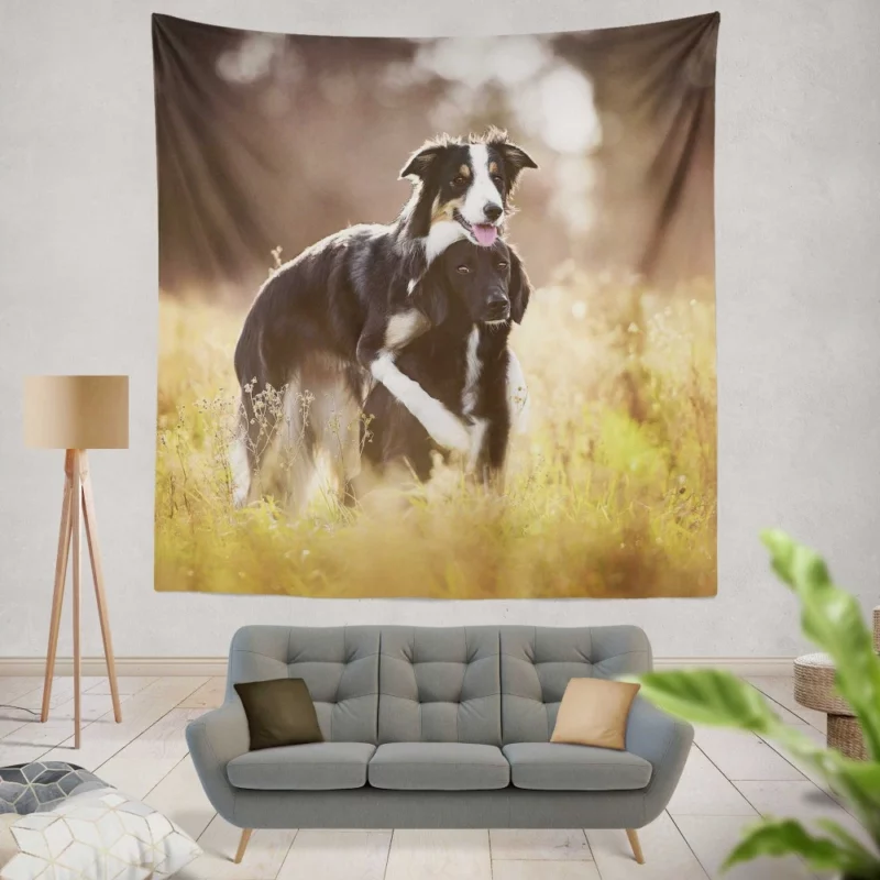 Border Collies in Unity Dynamic Duo Wall Hanging Tapestry