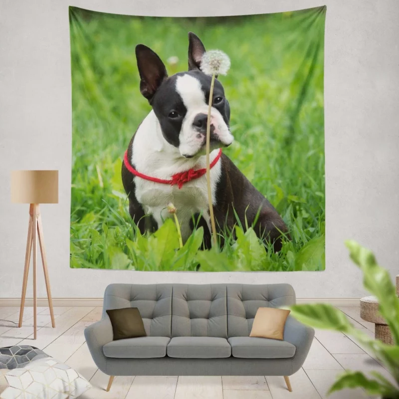 Boston Terrier Playful Spirit Wall Hanging Tapestry