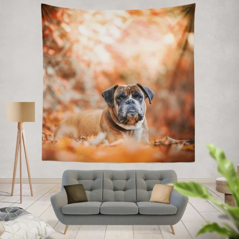 Boxer Enigmatic Stare Canine Wonder Wall Hanging Tapestry