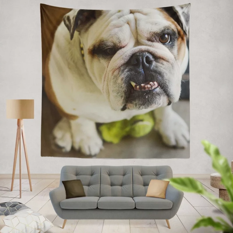 Bulldog Charming Muzzle Endearing Persona Wall Hanging Tapestry