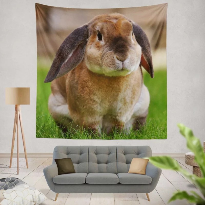 Bunny Rabbit Cute Curiosity Innocent Play Wall Hanging Tapestry