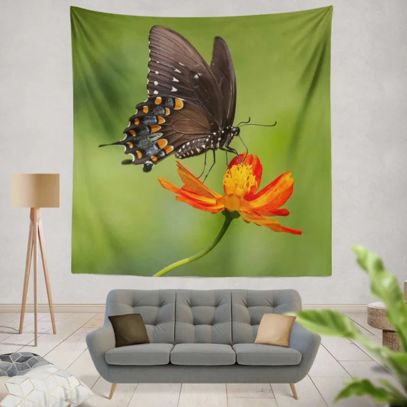 Butterfly Dance on Orange Flower Vivid Elegance Wall Hanging Tapestry