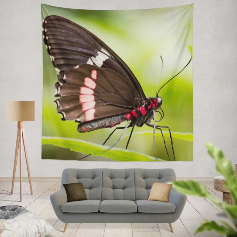 Butterfly Graceful Flight Nature Beauty Wall Hanging Tapestry