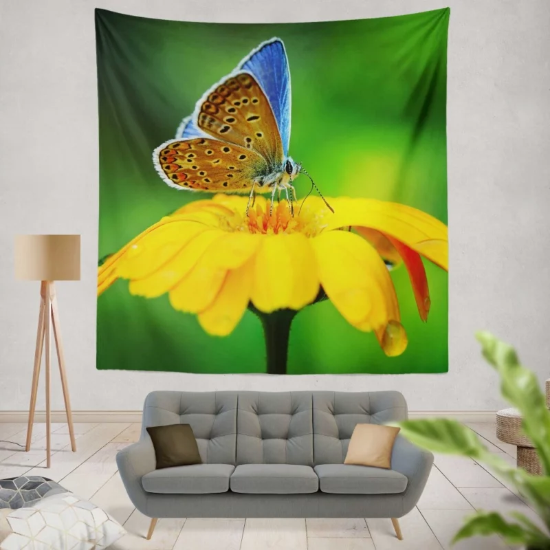 Butterfly Macro Elegance Floral Beauty Wall Hanging Tapestry