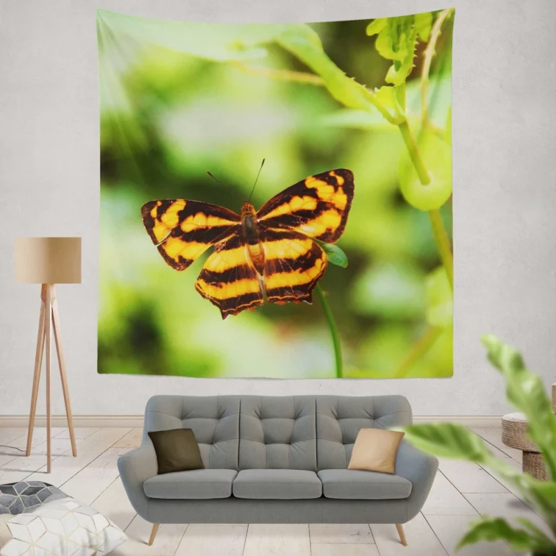 Butterfly of Fantasy Ethereal Elegance Wall Hanging Tapestry