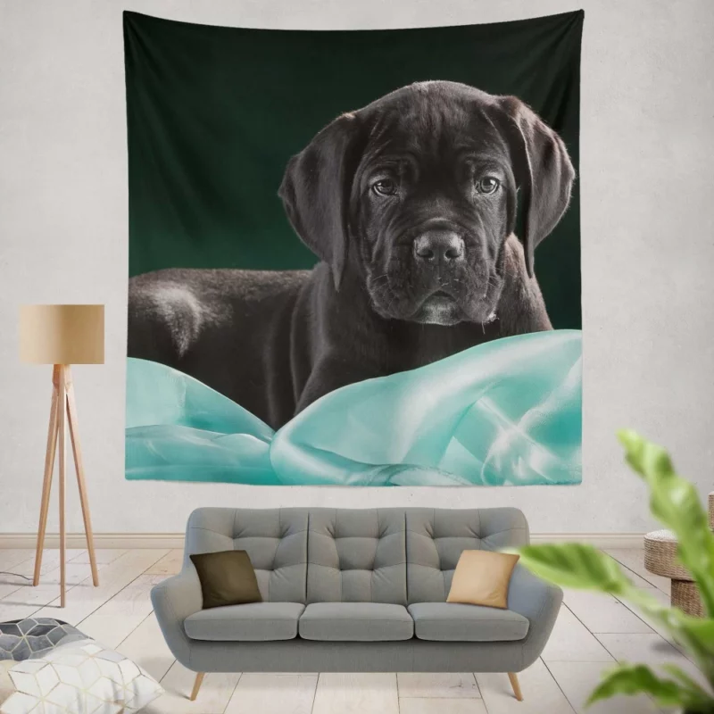 Cane Corso Baby Innocence Furry Wonder Wall Hanging Tapestry