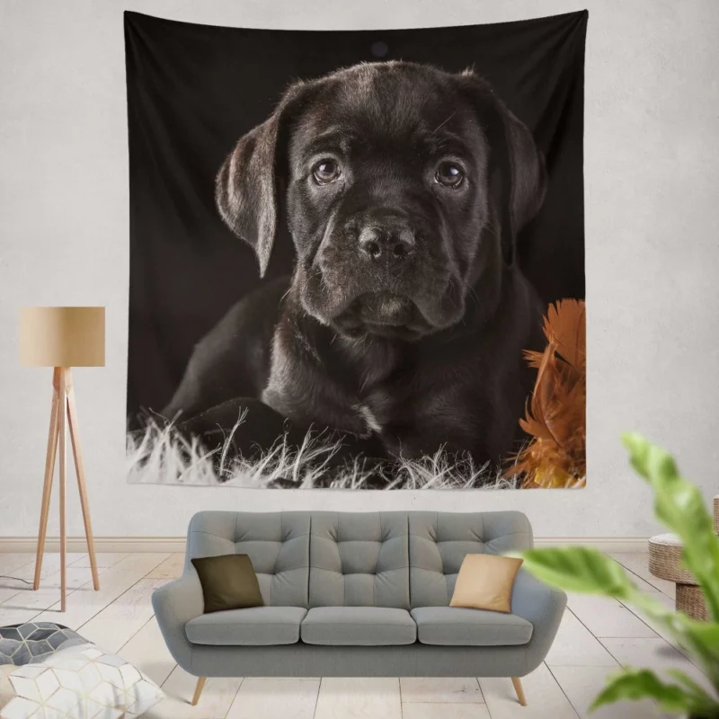 Cane Corso Baby Wonder Furry Innocence Wall Hanging Tapestry