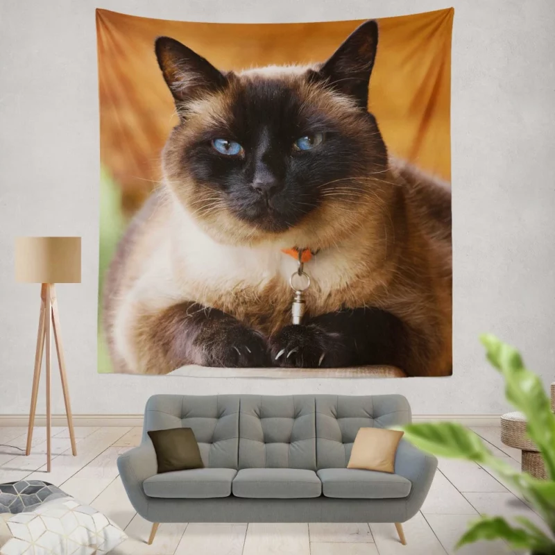 Captivating Charm Cat Aura Wall Hanging Tapestry